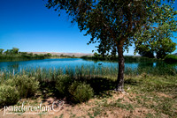 Lake @ Spring Mountain Ranch